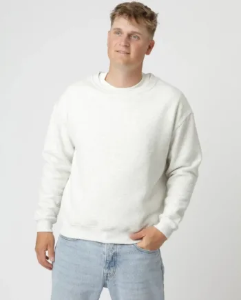 Sweatee Shirt Premium Grå