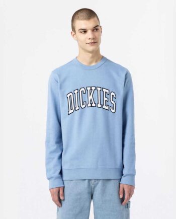 Dickies Aitkin Sweatee Shirt Allure